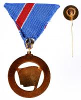 1957. "KISZ Hűség a Néphez Hűség a Párthoz" zománcozott kitüntetés mellszalaggal és miniat...