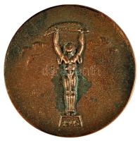 1969. "Kitüntetett Szövetkezők Találkozója" Br emlékérem (59mm) T:2