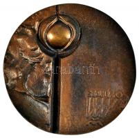 Csíkszentmihályi Róbert (1940-) 1985. "OMÉK - 1985 Magyar Fórum - Magyar Agrárszakemberek Tudományos Találkozója Budapest" Br emlékérem (80mm) fa tokban T:1