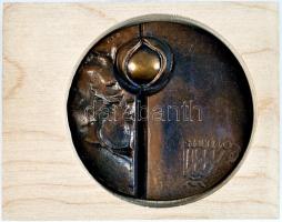 Csíkszentmihályi Róbert (1940-) 1985. "OMÉK - 1985 Magyar Fórum - Magyar Agrárszakemberek Tudom...