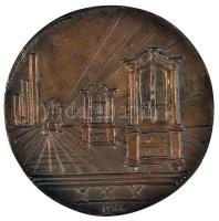 Berhidi Mária (1953-) DN "Fa És Papíripari Szövetkezetek Szövetsége" Br emlékérem (83mm) T:1