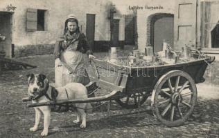 Flemish dairy, dog cart, folklore (wet damage)