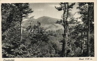 Tiszaborkút Sesul (fa)