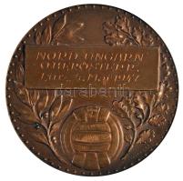 Ausztria / Linz 1917. "Észak-Magyarország - Felső-Ausztria" Br sportérem (50mm) dísztokban T:1- Austria / Linz 1917. "North Hungary - Upper Austria" Br sport medallion (50mm) in case C:AU