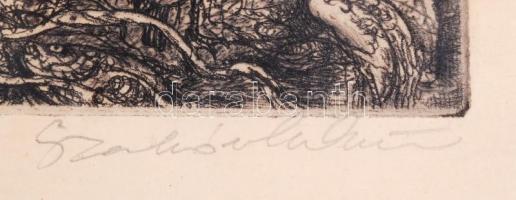 Szabó Vladimír (1905-1991): A régi Hortobágy. Rézkarc, papír, jelzett, üvegezett keretben, 11×14 cm