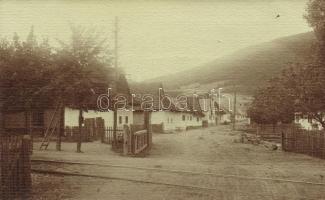 Borosznó-fürdő photo