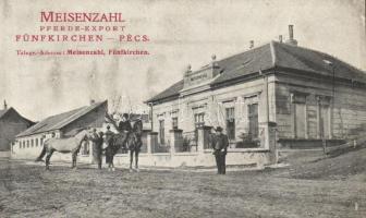 Pécs, Meisenzahl lókereskedés