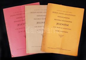 1910-1917 Az Országos Központi Hitelszövetkezet igazgatóságának és felügyelő bizottságának jelentése az egyes üzletévekről (3 db)