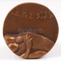 Csíkszentmihályi Róbert (1940): Cím nélkül. Bronz plakett, jelzett, d: 8,5cm