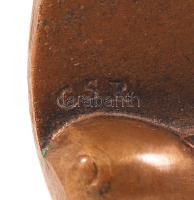 Csíkszentmihályi Róbert (1940): Cím nélkül. Bronz plakett, jelzett, d: 8,5cm