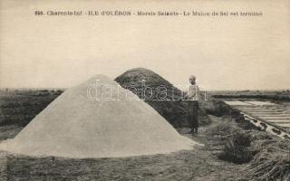 Ile d&#039;Oléron, Island of Oleron; salt (EK)