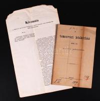 1861,1875 A temesvári bizottmány közgyűlésének jegyzőkönyvi kivonata,és a temesvári közkórház orvosi jelentése.