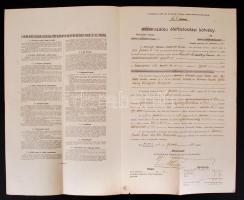 1912 Budapest, Universale általános népbiztosító társaság által kibvocsátott színes, teljesen kitölt...