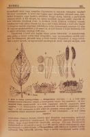 1940-1944 Herba - A gyógy- és fűszernövények termesztésével-gyűjtésével feldolgozásával és értékesít...