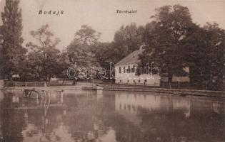 Bodajk, tó
