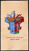 cca 1900 Strilich család kézzel festett címere 30x16 cm