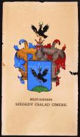 cca 1900 A mező szegedi Szegedy család kézzel festett címere 30x16 cm