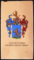 cca 1900 Az alapi Salamon család kézzel festett címere 30x16 cm