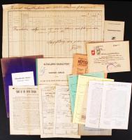cca 1873-1949 Vegyes, egészségüggyel kapcsolatos nyomtatványok, dokumentumok(betegfelvételi jegy, iskolaorvosi karton, Népegészséügyi Közlöny).