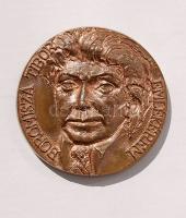 Modern extrém nagyméretű Br plakett "Debrecen-Boromisza Tibor" T:2