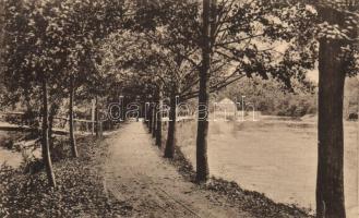 Rajecfürdő fasor / alley