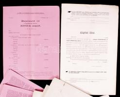 cca 1878-1895 Egészségügyi bejelentő ívek, Magyar Kisbirtokosok Országos Földhitelegyesületének alap...