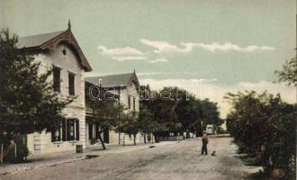Worcester, Cape Colony, Institute for blind girls