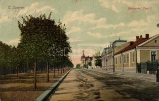 1909 Turnu Severin, Szörényvár; Bulevardul Carol I / street view (ázott sarok / wet corner)