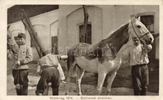 Schimmel streichen / Military WWI, white horse painting (fl)