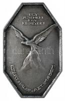 ~1914. "SZURMAY HADSEREGCSOPORT UZSOK" jelzett Ag nyolcszögletes plakett (112.4g/0.800/83x...