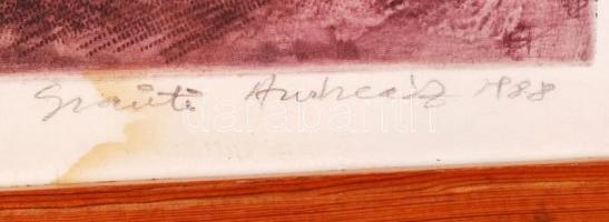 Szántó András (1948): Long Way  rézkarc, jelzett, sorszámozott 15/50 üvegezett keretben 40x30 cm