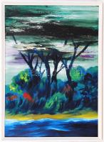 Jelzés nélkül: Vízparti fák. Olaj, karton, keretben, 69×48 cm