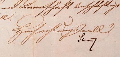 1856 Bajor hivatali levél Győr (Raab) szabad királyi városnak 3 krajcáros szignettás papíron