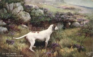 On the moors, dog, Raphael Tuck & Sons Oilette