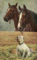 Horses, dog s: K. Feiertag (EK)