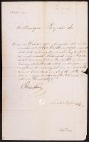 1862 A Magyar Királyi helytartótanács ex offo levele Budáról (Ofen) szárazpecséttel Moyses István pü...
