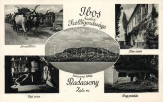 Badacsony, Ibos család szőlőgazdasága, borszállítás, kúria, pince, reklám a hátoldalon
