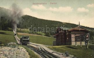 Zistelalm Station, Gaisbergbahn