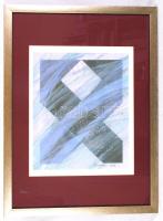 Szlabey Zoltán (1956-): Masnis csavar I. Szitanyomat EA 1/5, papír, jelzett, üvegezett újszerű keretben, 45×35 cm