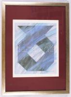 Szlabey Zoltán (1956-): Masnis csavar II. Szitanyomat EA 1/5, papír, jelzett, üvegezett újszerű keretben, 45×35 cm