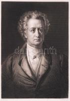 Geothe, acélmetszet, megjelent a Goethe galéria című könyvben, Lipcse 1864, 15×11 cm