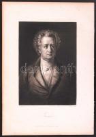 Geothe, acélmetszet, megjelent a Goethe galéria című könyvben, Lipcse 1864, 15×11 cm