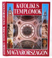 Dercsényi Balázs-Hegyi Gábor-Marosi Ernő-Török József: Katolikus templomok Magyarországon.Budapest, 1991, Hegyi és Társa Kiadó.Vászon kötésben, védőborítóval, rengeteg színes fotóval illusztrálva.