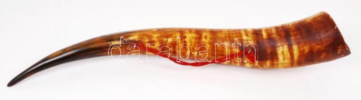 Bivalyszarv tartózsinórral, h: 67 cm.