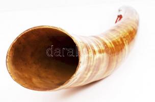 Bivalyszarv tartózsinórral, h: 67 cm