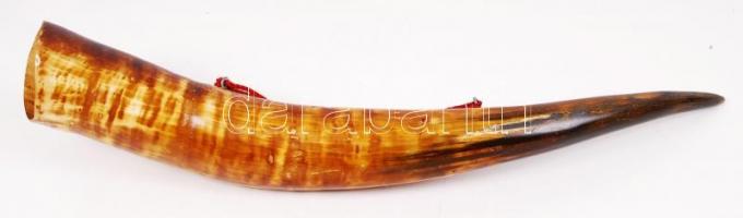 Bivalyszarv tartózsinórral, h: 67 cm