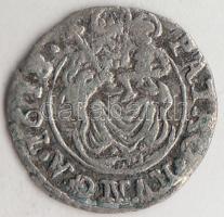 1618K-B Denár Ag "II. Mátyás" (0,37g) T:2-
Huszár 1141., Unger II 870