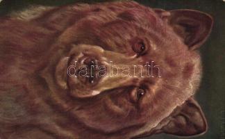 Bear s: Ludwig Fromme (fl)