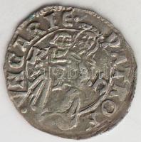 1498-1503. Denár "II. Ulászló" (0,64g) T:2 Huszár 807.,Unger I.: 641.a