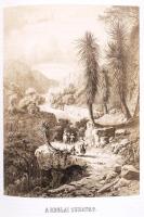 Rosti Pál: Úti emlékezetek Amerikából. 2 színezett képpel, 13 kőmetszvénnyel, 2 acélra metszett tájk...